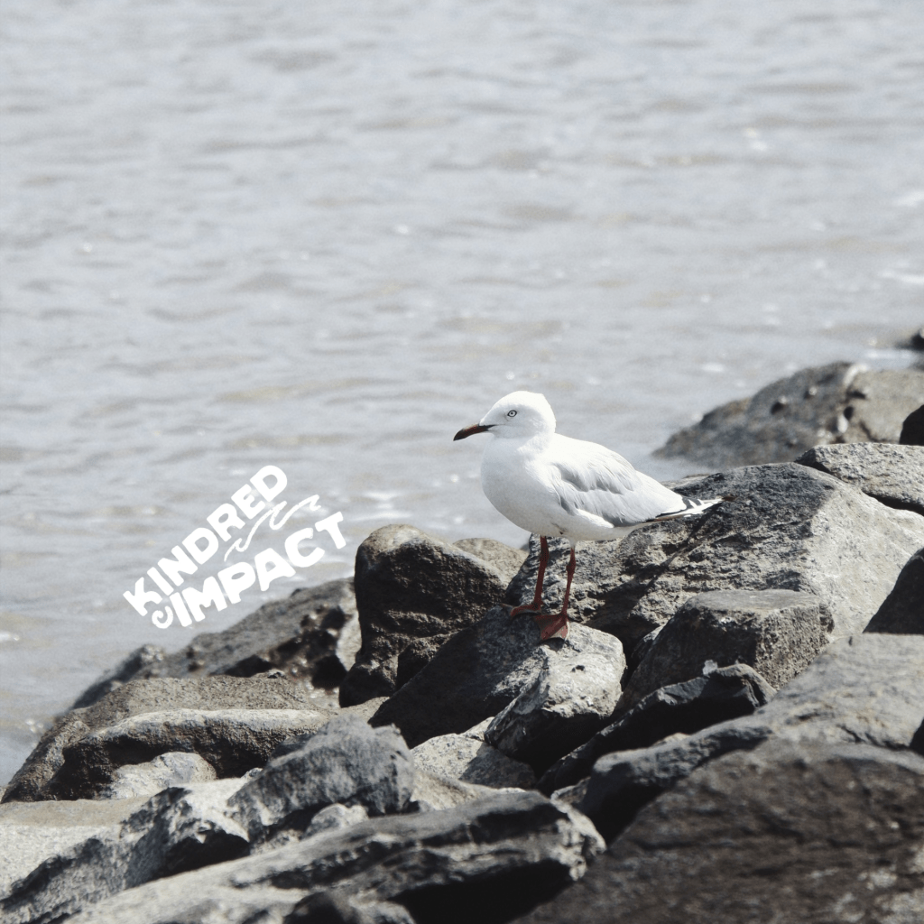 The Wellness Paradox: How Social Media Makes Self-Care Feel Like a Productivity&nbsp;Contest.